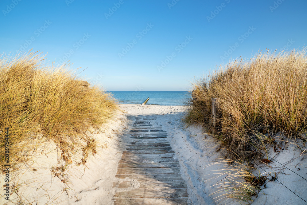 Naklejka premium beautiful wooden path to the sea - dunes, sand and sea