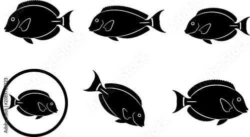 Fotografía Blue Tang Silhouette Icon Set Black Vector Surgeonfish Collection