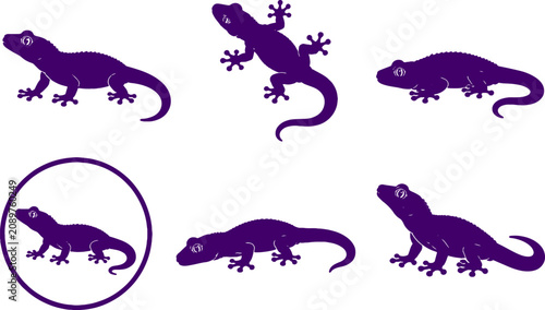 Tableau sur toile Chahoua Gecko Silhouette Icon Set Black Vector New Caledonian Reptile Collection