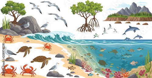 Photography Tropical beach and underwater wildlife cross section asset bundle featuring sea