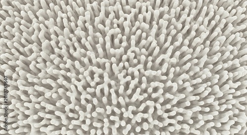 Closeup view of intricate white coral texture with numerous small branches