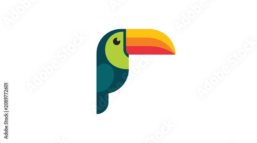 Schilderij op canvas Colorful illustration of a toucan's head.