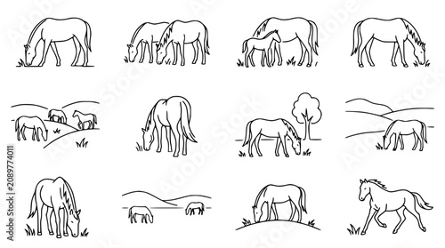 Tableau sur toile Collection of Horse Illustrations: Grazing, Mother and Foal, Running, Landscape