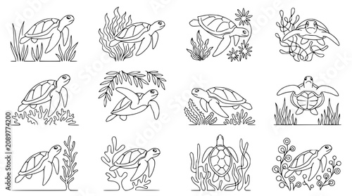 Tableau sur toile Continuous Line Drawing Set: Sea Turtles and Coral Reef Elements