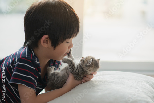 A happy Asian boy playing and bonding with a cute tabby kitten, gentle moment at home, friendship and love concept.