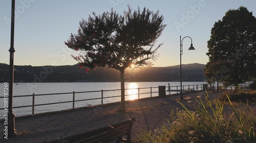 Reveal Shot of Lakeside Bench, Tree and Street Lamps at Sunset