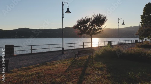 Reveal Shot of Lakeside Bench, Tree and Street Lamps at Sunset