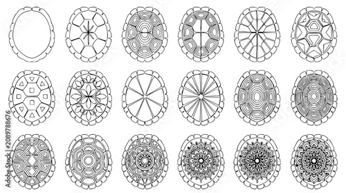 Foto Collection of Turtle Shell Patterns, Top View, Line Art, Geometric Designs