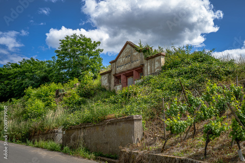 ehemalige Wasserwerk aus dem Jahr 1929, das sich still zwischen Weinreben und wildem Grün versteckt. Die Fassade trägt die Spuren der Zeit mit einer Würde, die man heute nur noch selten findet. Währen