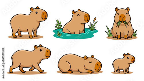 Cute capybara in various playful poses