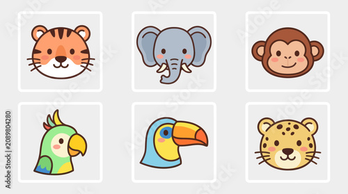 Photography Cute animal faces collection