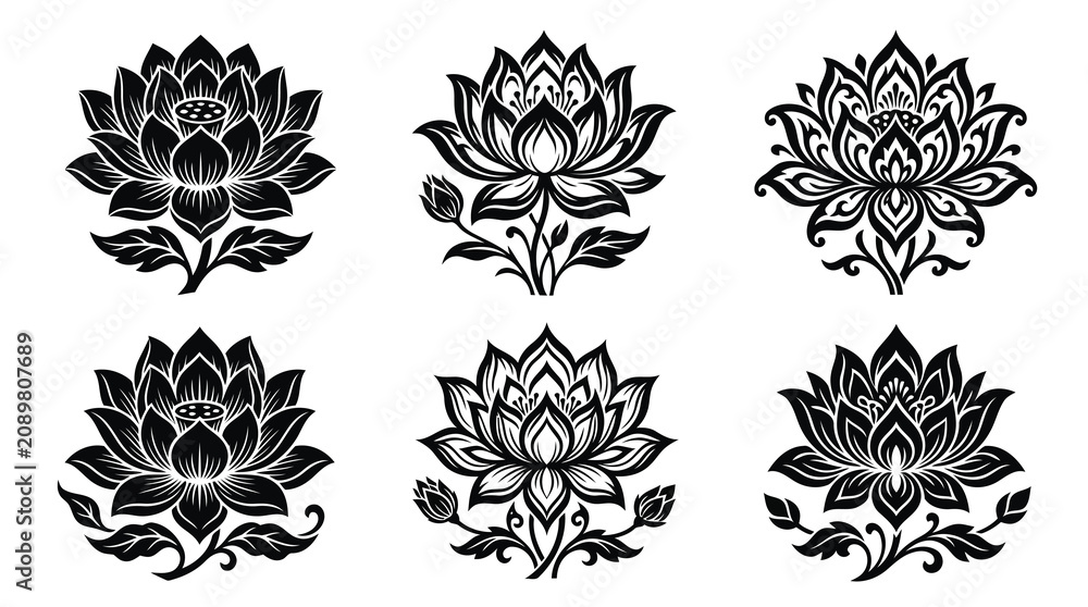 Fototapeta premium Adobe Illustrator Artwork
