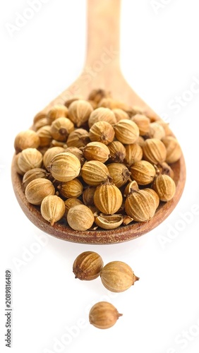 A wooden spoon overflowing with light brown seeds on a white background
