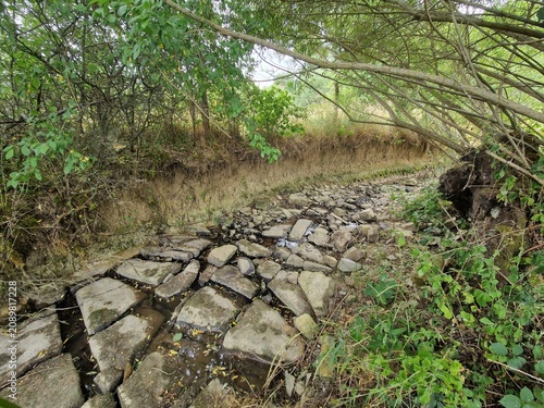 Lit de ruisseau asséché avec berges érodées et racines à nu en été