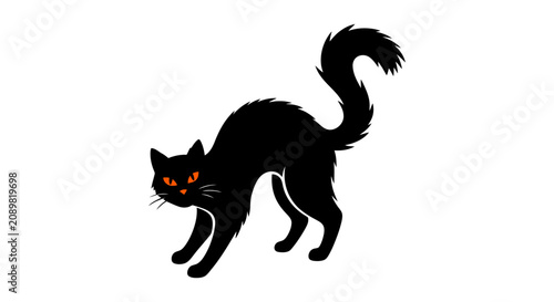 Φωτογραφία Silhouette of a Playful Black Cat with Bright Eyes.