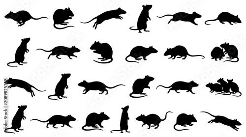 Fotografía Silhouette Collection of Rats and Mice in Various Poses