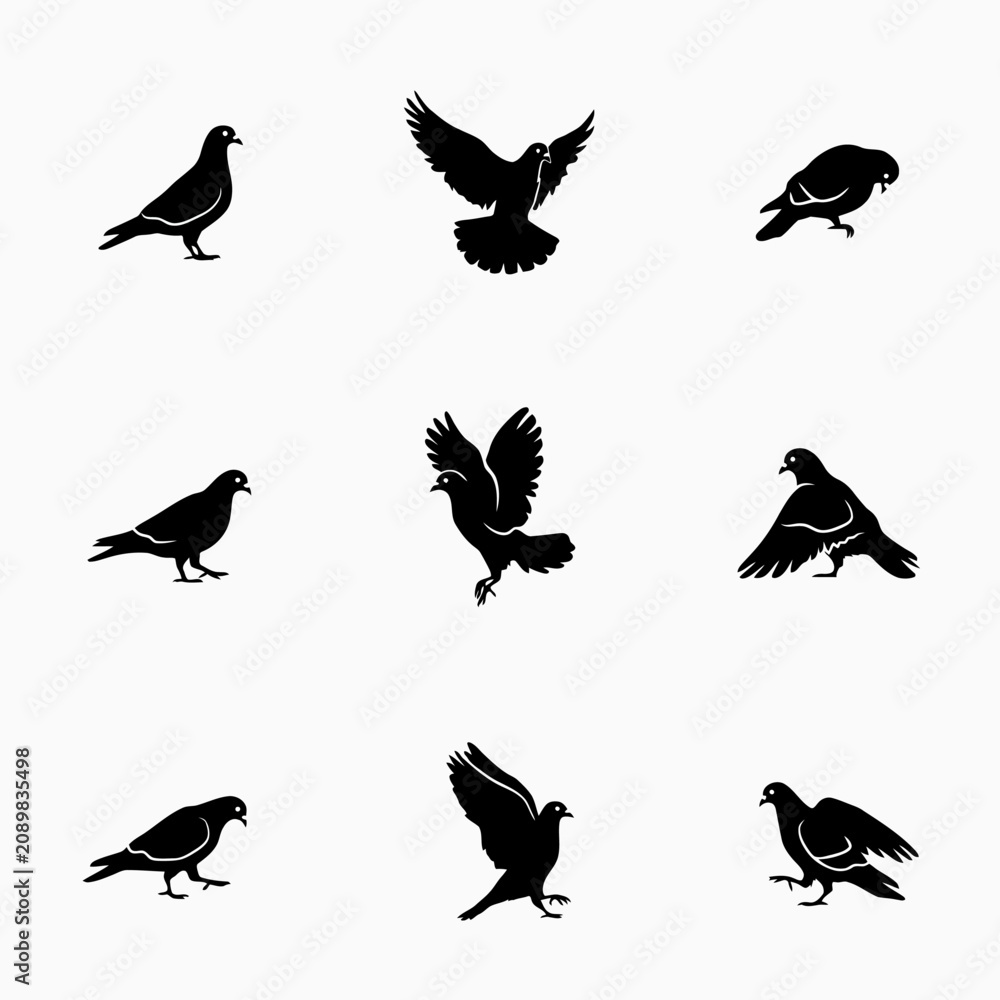 Fototapeta premium Pigeon and dove silhouettes flying bird icons set isolated on white background vector illustration