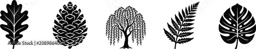 Fotografie Nature botany elements set with oak leaf pine cone willow tree fern and monstera foliage icon