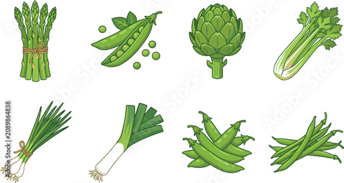 Fresh Green Vegetables Vector Icon Set Featuring Asparagus Peas Artichoke Celery Green Beans and Leek