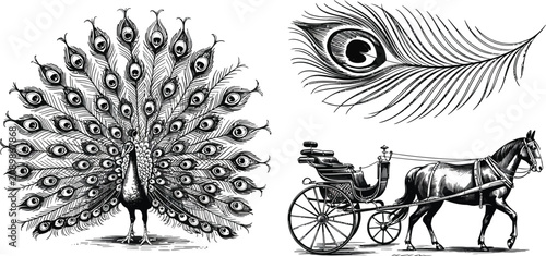 Fotografie Vintage peacock, horse-drawn carriage, feather icons
