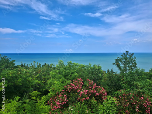 panorama of lush and flowery vegetation with the sea in the background
