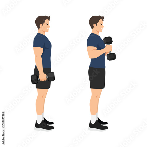 Man Performing Dumbbell Hammer Curl Exercise. Flat vector illustration isolated on white background
