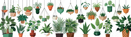 Фотография Collection of hanging plants and potted plants