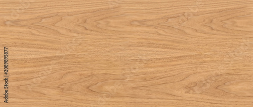 Canvastavla Wood Texture featuring a seamless light elm inspired grain surface with realisti