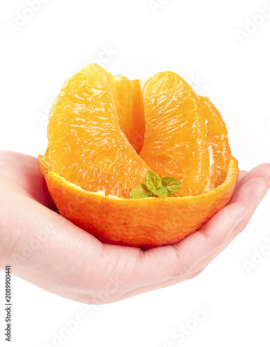 Fresh Orange Half with Juicy Segments Held in Hands Studio Still Life