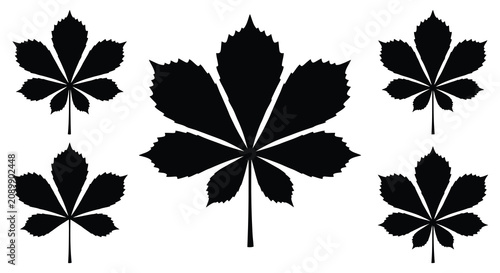 Canvas Print Horse Chestnut Leaves Silhouette Against A White Background