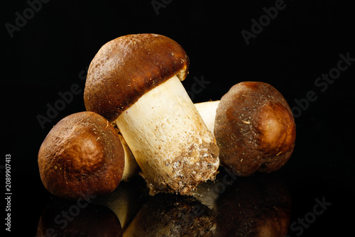 Quadro su tela Fresh Agaricus Blazei Mushrooms from Yunnan Crop - Deliciously Earthy Vegan Ingr