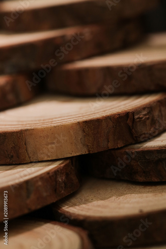 Natural Wood Cross-Sections Showing Annual Growth Rings Close-Up Studio Shot