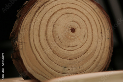 Round Wood Cross Section with Tree Rings Natural Texture Studio Shot