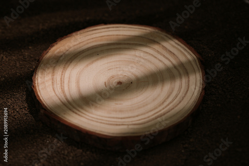 Natural wood cross section with circular grain rings texture studio shot on dark background