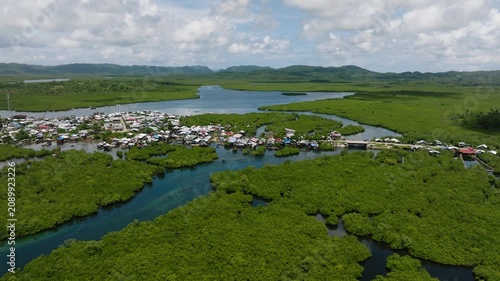 Aerial view of tropical white sand beach lined with palm trees and turquoise shallow water. Siargao, Philippines.