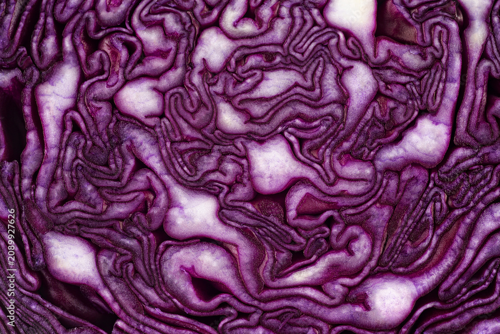 Obraz premium Half of fresh red cabbage texture, as background. Healthy food, fresh vegetables.