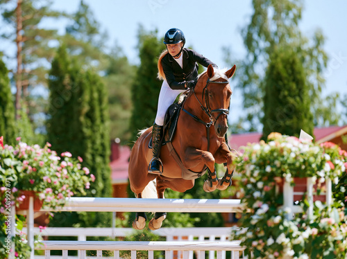 Show jumping competition, jumping over a barrier on a horse, blonde, female rider