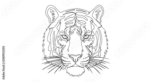 Photography Tiger Face Outline Drawing, Majestic Big Cat Head Illustration, Wild Animal Line
