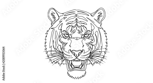 Photography Tiger Face Outline Drawing, Fierce Animal Portrait, Vector Art