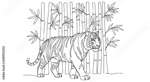 Photography Tiger Walking in Bamboo Forest - Outline Illustration for Coloring