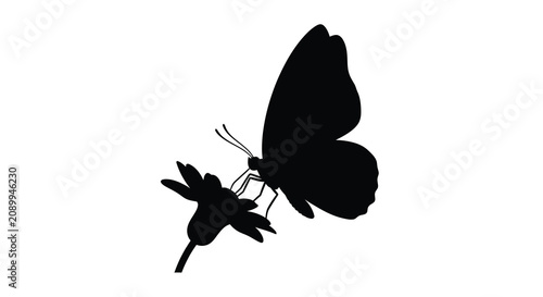 Bilde på lerret Black silhouette of a butterfly perched on a flower against a white background s
