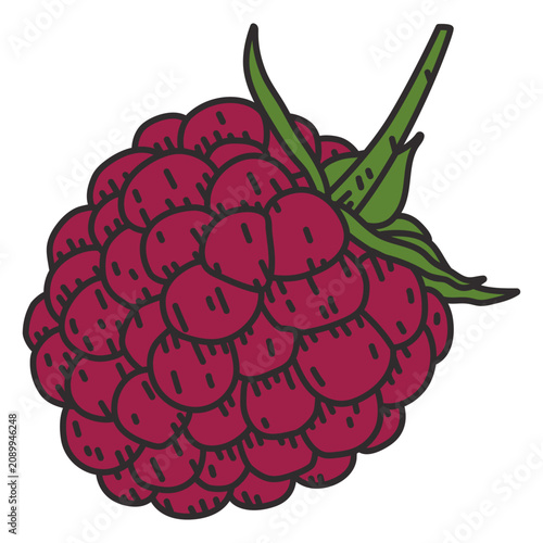 Принти на полотні Bunch of grapes color stroke