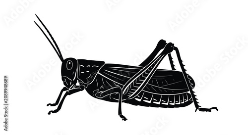 Cuadro en lienzo A detailed grasshopper illustration in black and white presented as a striking s