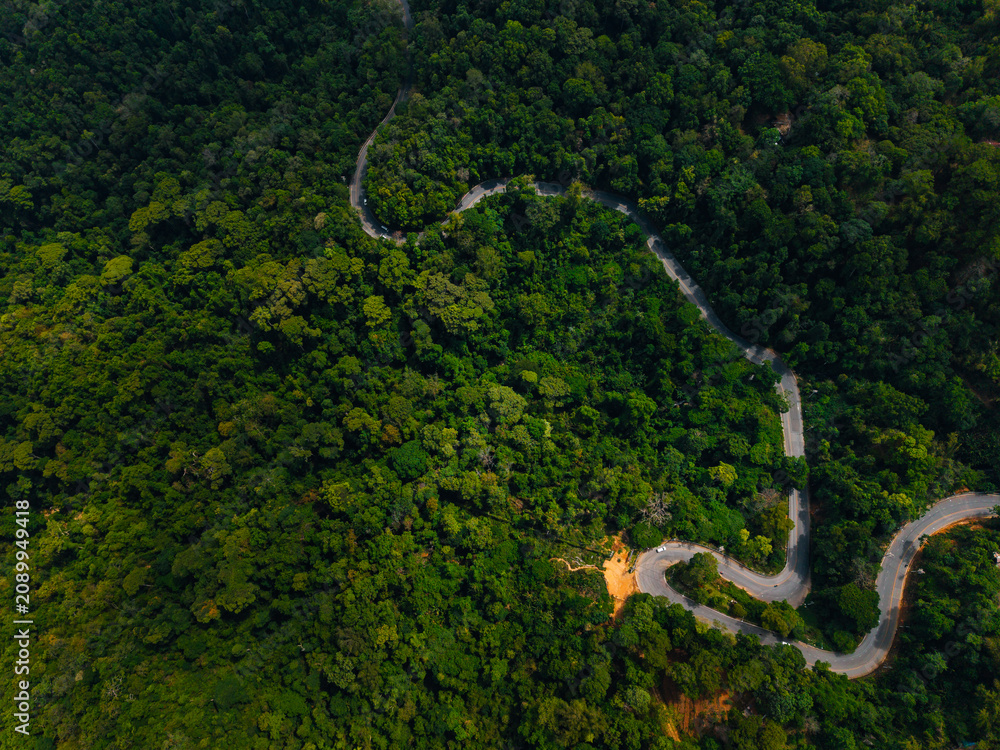 Naklejka premium Aerial view of serpentine road cutting through lush forest
