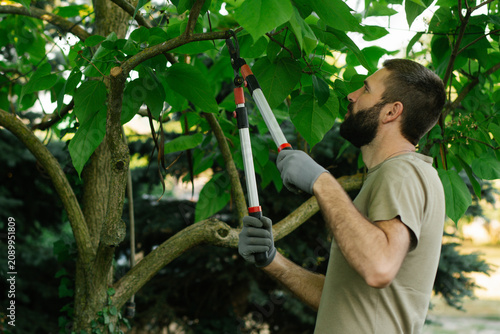 Adult man using telescopic pruning loppers to trim tree branches in a backyard garden. Seasonal tree maintenance, gardening work and landscape care concept. Homeowner performing garden 