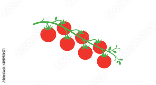 Fotografie Tomato vine with red fruits flat vector illustration on a white background agric