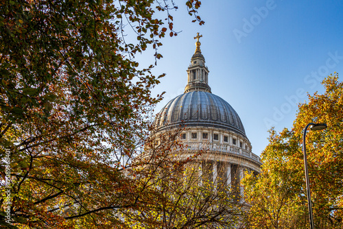Photography Dome of St Paul's Cathedral in London framed by autumn trees