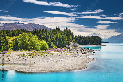 Pukaki Lake and Mount Cook in distance, South Island in New Zealand