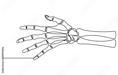 Continuous line drawing of hand skeleton, Black and white vector minimalist illustration.