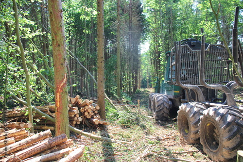 Obraz na płótnie The harvester is working in a forest